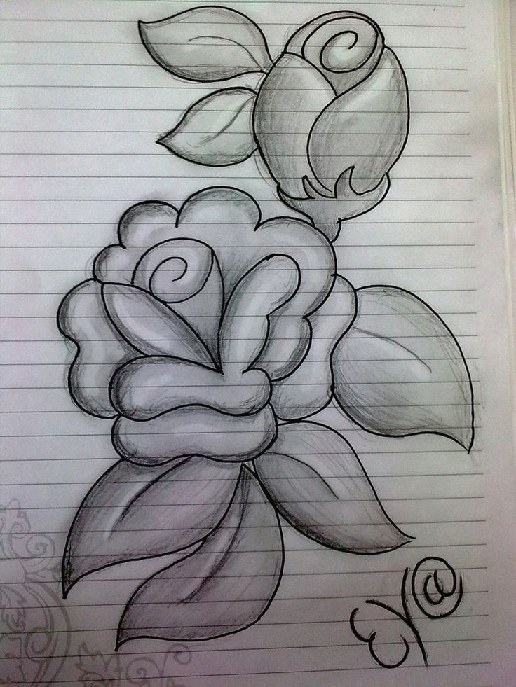 932e9a5ea405c7b26d010e15a9099bdf flower drawing in pencil easy pencil drawings jpg