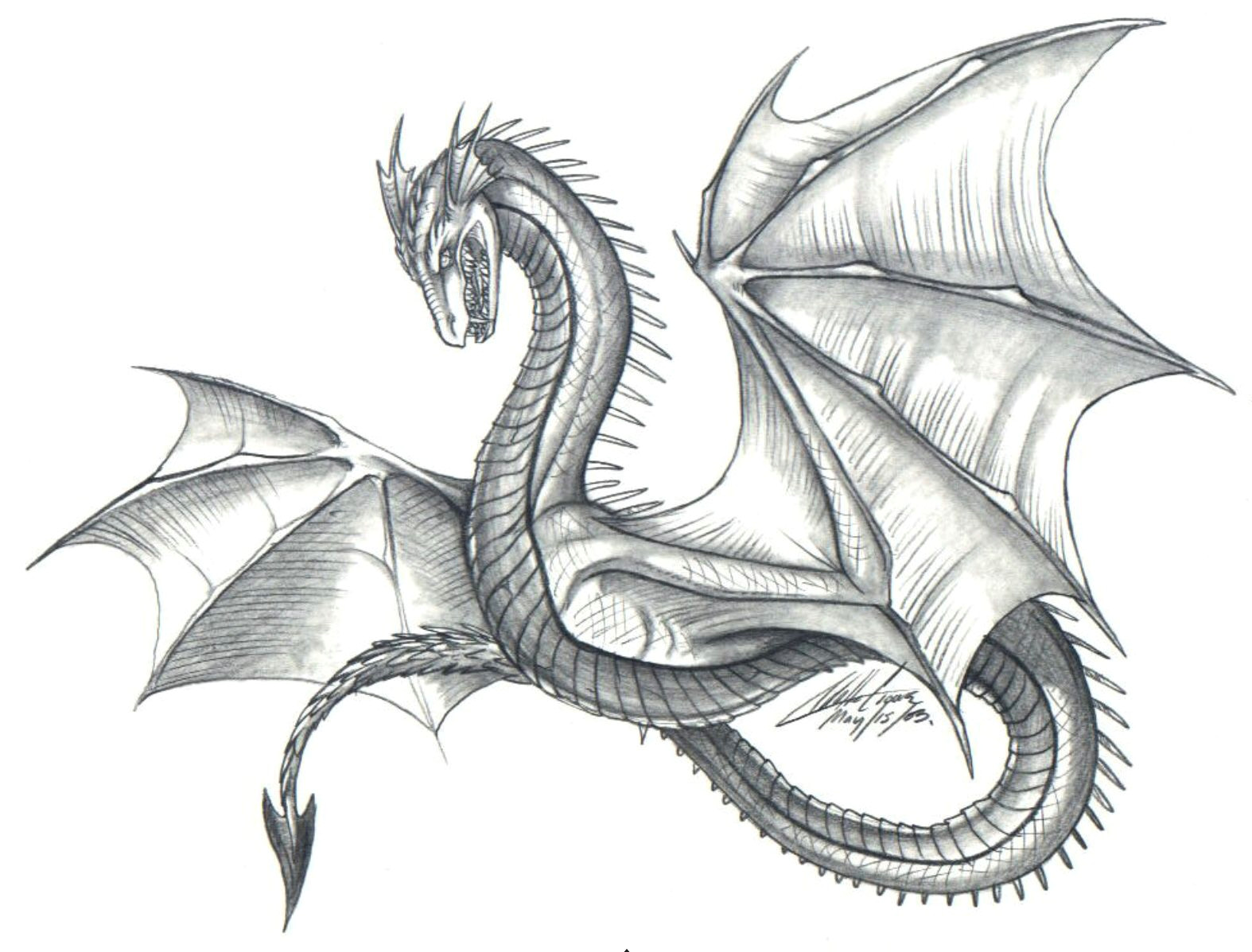easy dragon easy dragon dragon drawings in pencil
