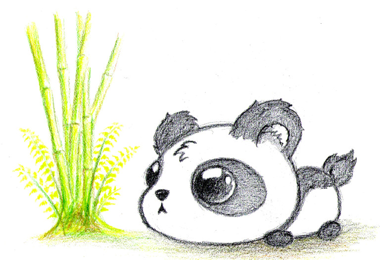 cute panda bear drawing gallery