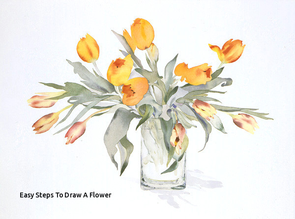 easy steps to draw a flower vase art drawings how to draw a vase step 2h