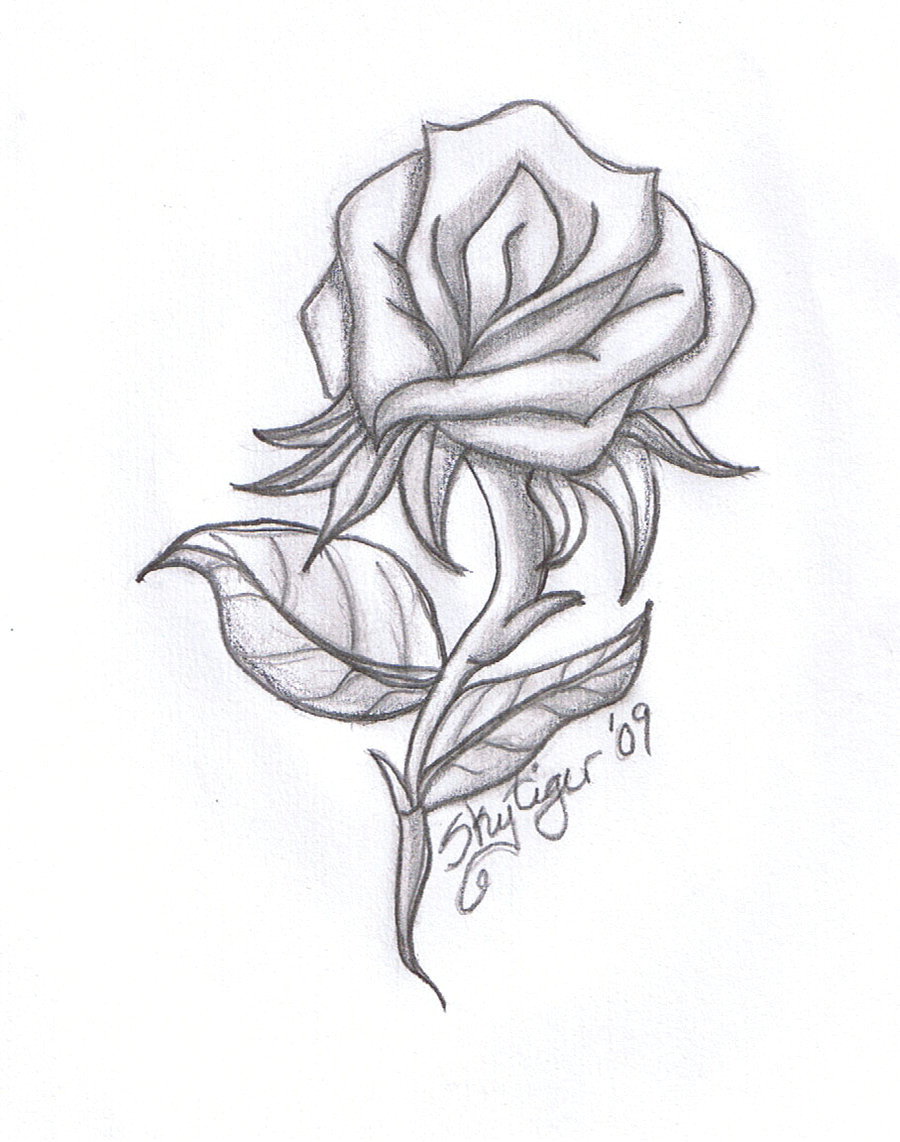 900x1142 rose drawings in pencil rose pencil drawing by skytiger