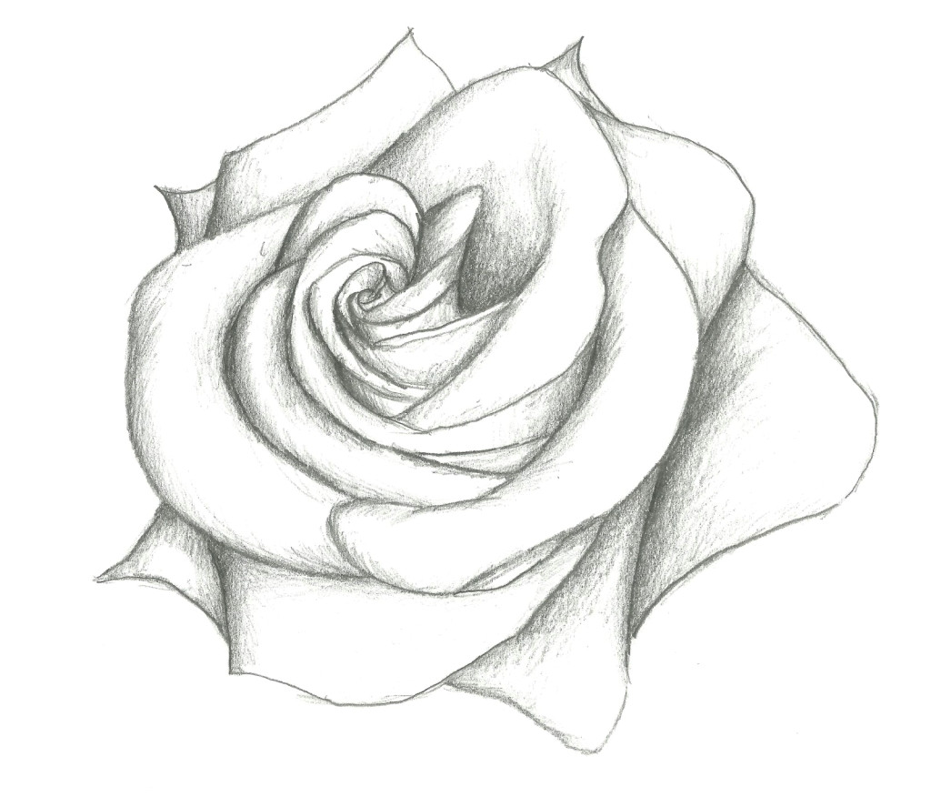 1024x876 rose pencil drawing step by step rose drawing simple related