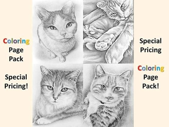 drawing to cat best cat for coloring luxury fresh may coloring pages awesome 0d owning