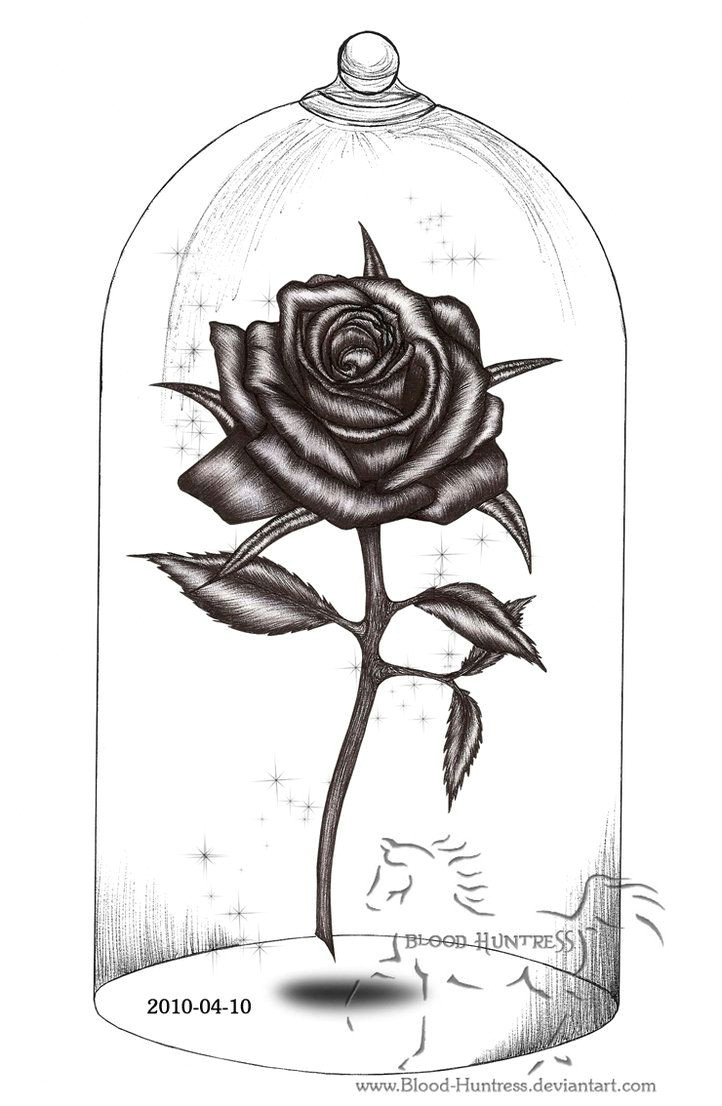 Picture Of A Drawing Of A Rose Rose Drawings Rose Pen Drawing with Glass by Blood Huntress On