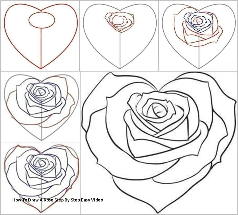 how to draw a rose step by step easy video how to draw a rose from