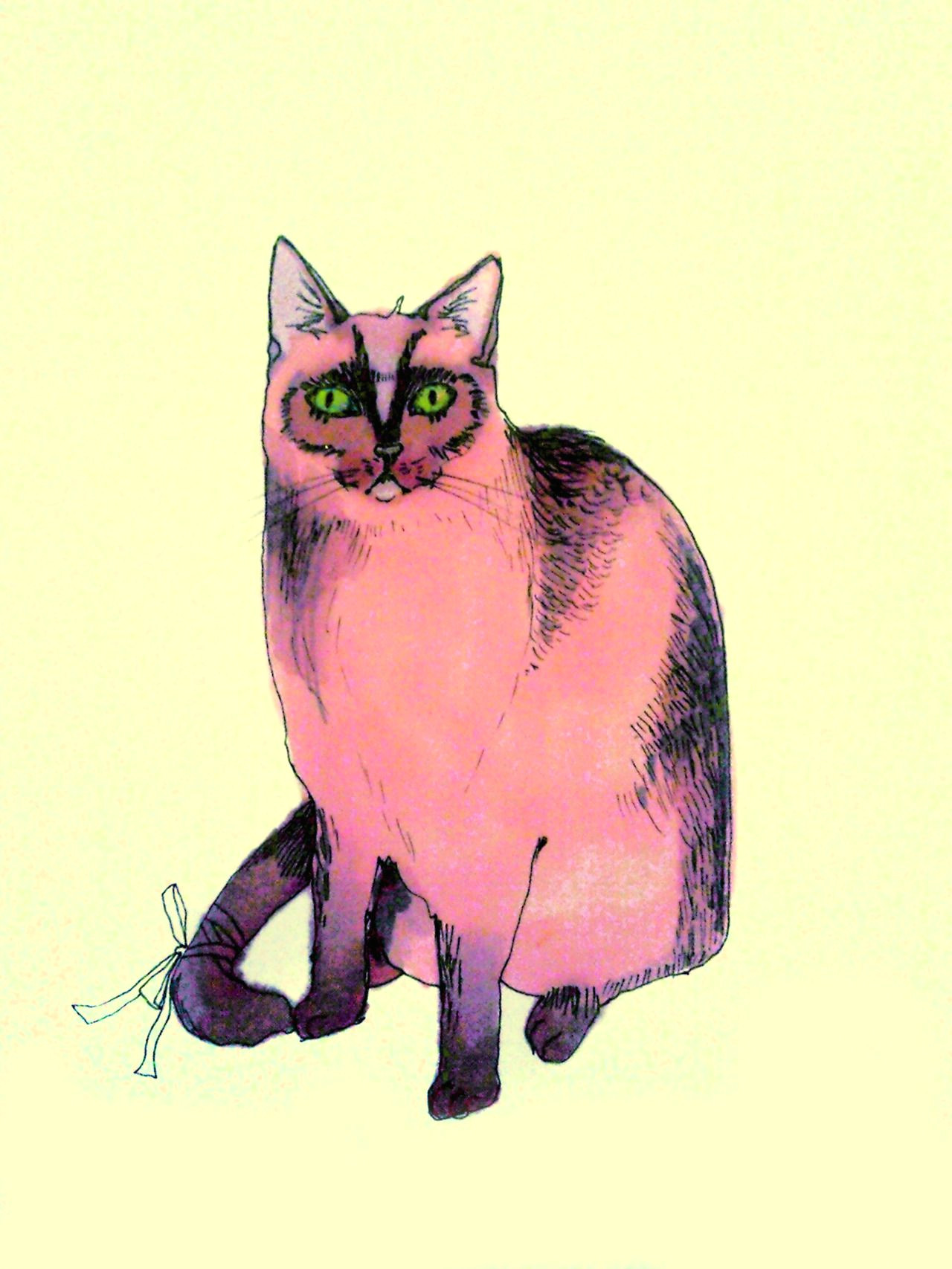 pink cat illustration sphynx cat pink cat cat paws cat drawing pretty