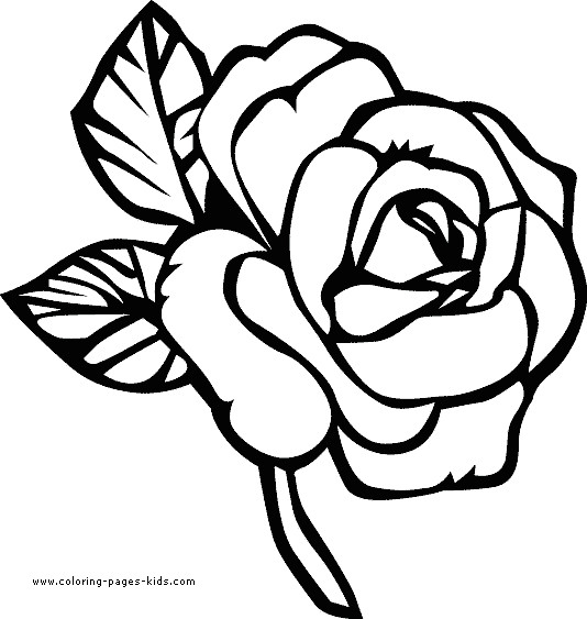 Printable Drawing Of A Rose Flower Page Printable Coloring Sheets Page Flowers Coloring Pages