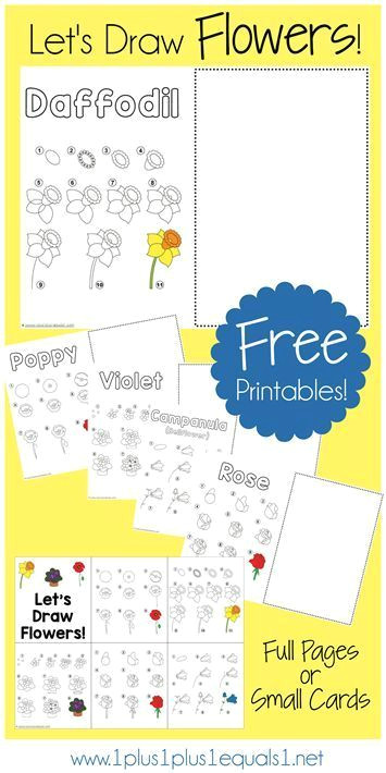 how to draw flowers free printables with drawing tutorials for a daffodil rose bell flower cornflower violet and poppy