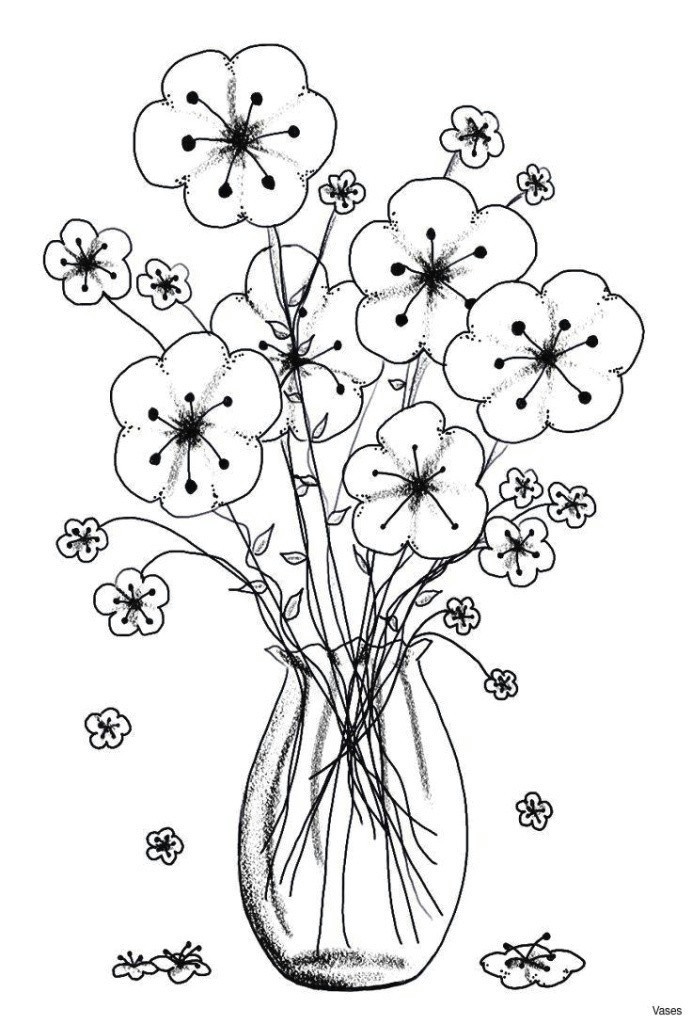 black and white rose coloring pages unique fresh cool vases flower vase coloring page pages flowers