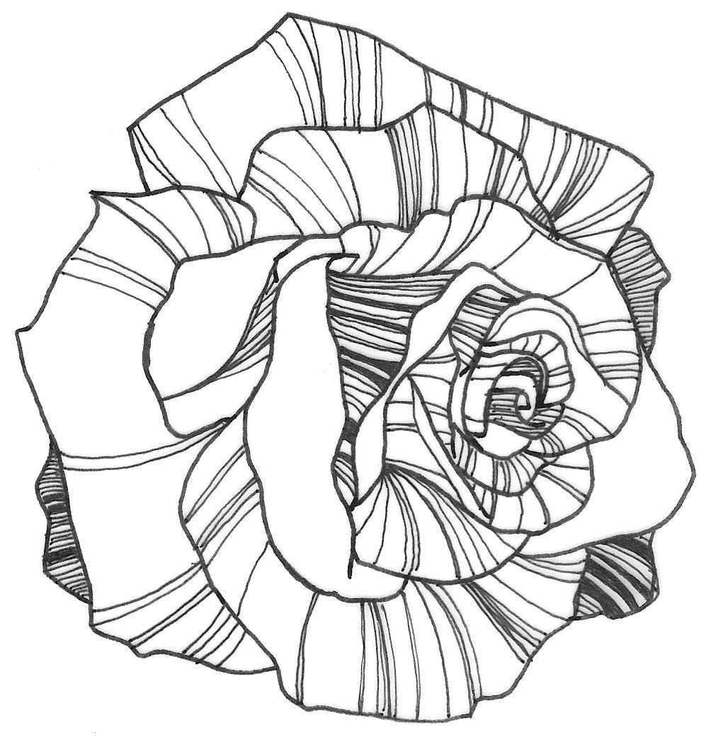 nicole illustration flower power rose coloring page colouring page from nicolestollery in