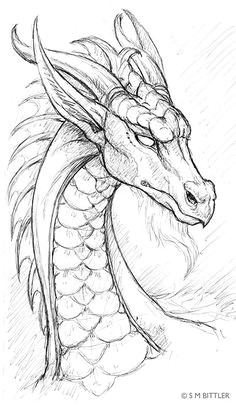 a dragon i drew on a train ride home from the city
