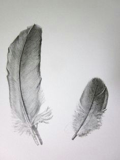 feathers original pencil drawing feather drawing feather art amazing drawings cool drawings