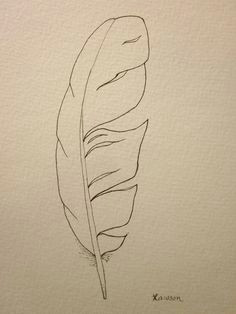original ink drawing bird feathers nature and tattoo ideas feather
