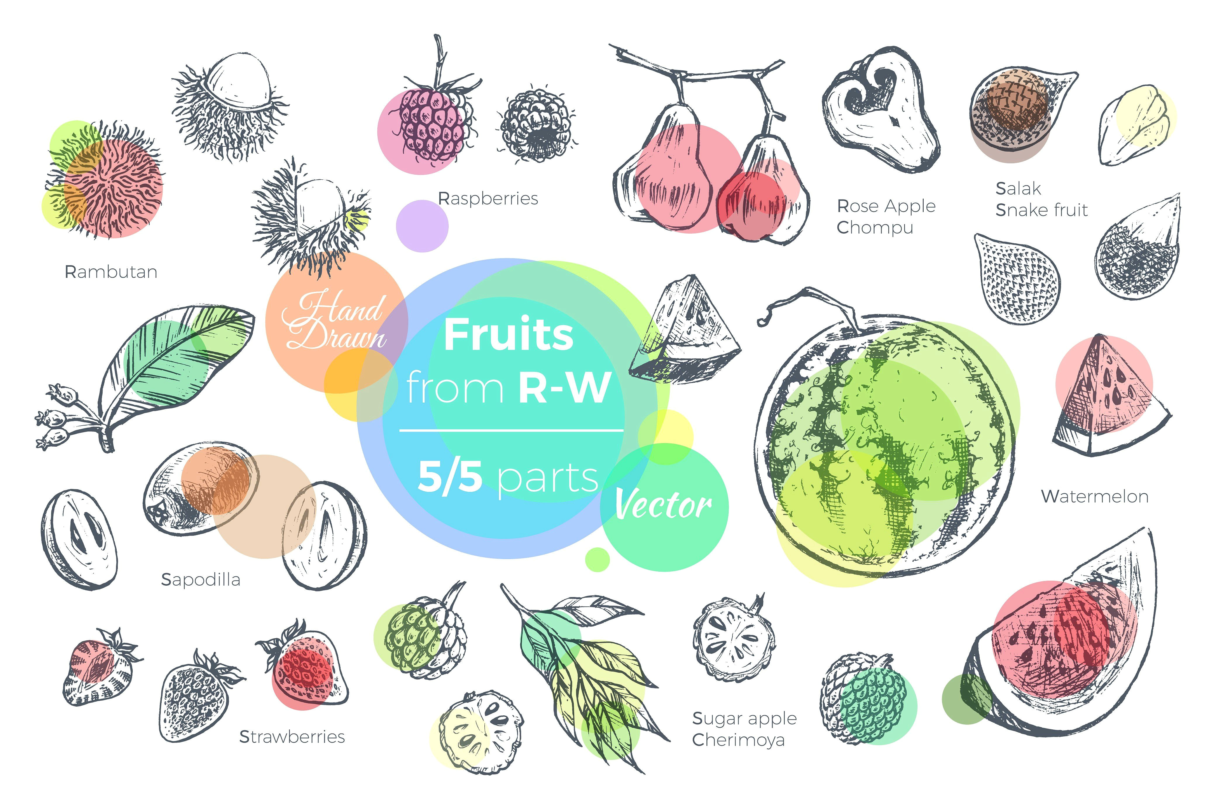 fruits hand drawn vector set exotic tropical vector packaging