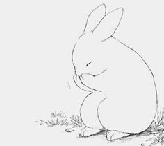 conejo rabbit drawing rabbit art bunny rabbit bunny sketches drawing sketches