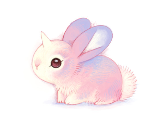 little moonbunny boomerduwanger sam bragg bunnicorn or unibunn viridianangel omg this is the best thing in the world