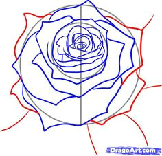 how to draw a realistic rose draw real rose step by step drawing guide by darkonator