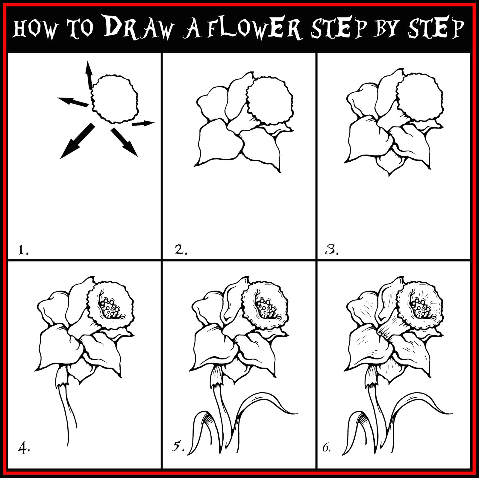 100 best how to draw tutorials flowers images drawing techniques learn drawing drawing flowers