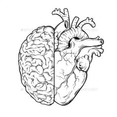 human brain and heart halves logic and emotion miscellaneous vectors