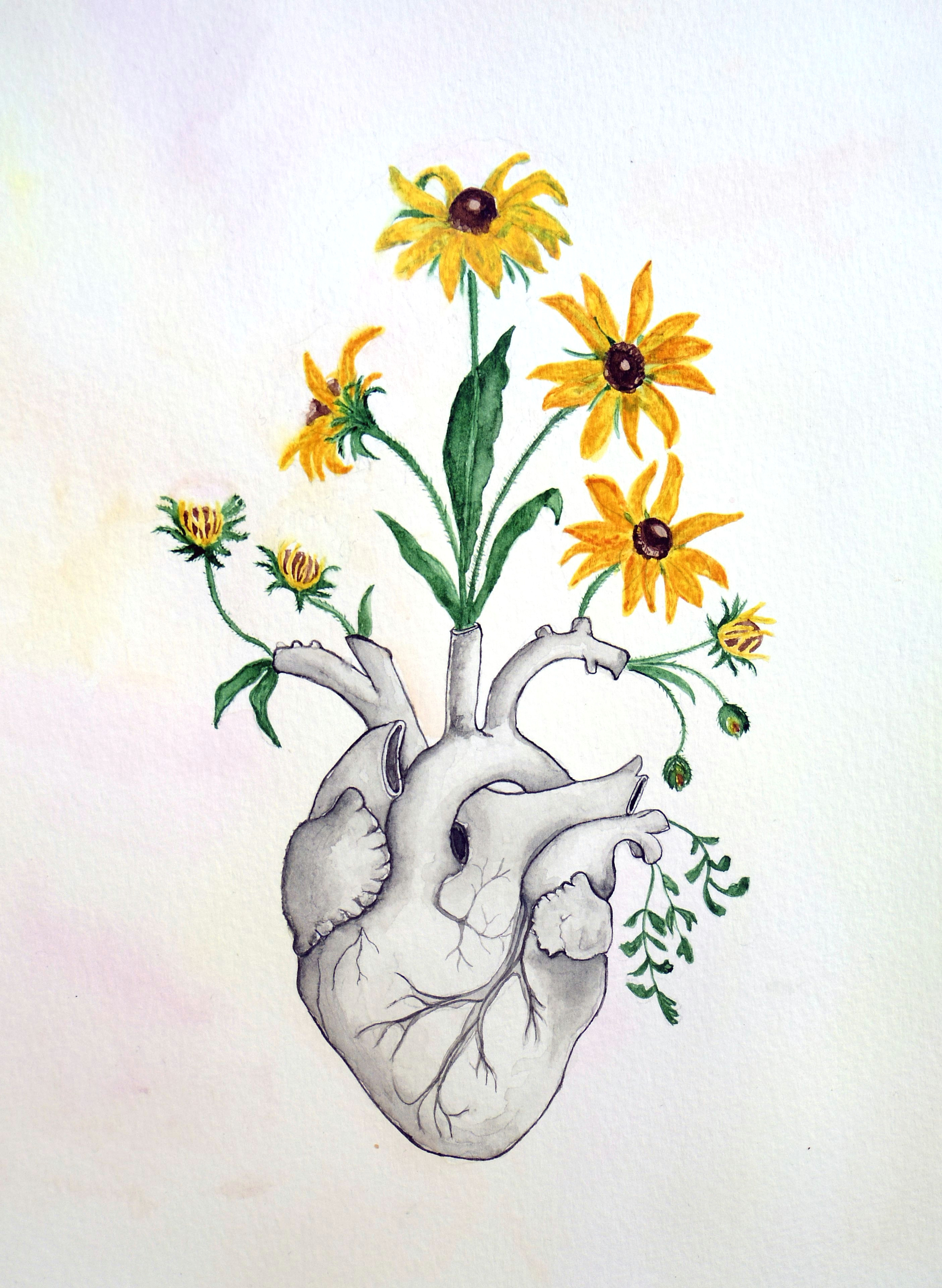 heart anatomy of heart watercolor painting flowers skeleton anatomy anatomy art painting drawing picture love