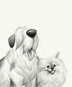 sketches dogsofinstaworld dogs sheepdog pomeranian