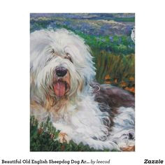 beautiful old english sheepdog dog art painting postcard