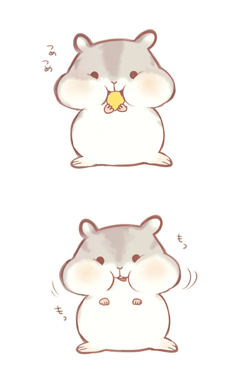 a cute hamster more
