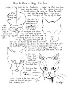 how to draw worksheets for young artist how to draw a skinny cat face worksheet