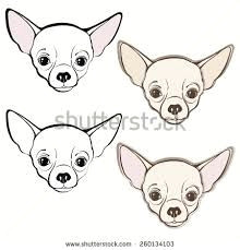 image result for how to draw a chihuahua chihuahua drawing chihuahua art dog paintings