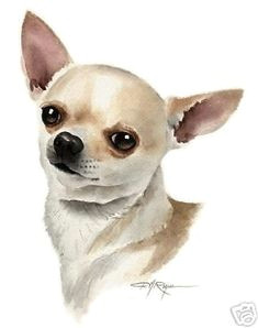 chihuahua dog painting art 11 x 14 large print djr collectibles animals dogs