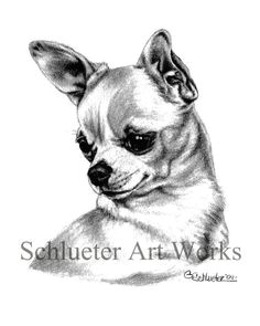 the chihuahua sketch available in 8x10 prints at www etsy com