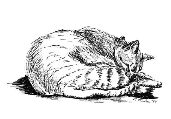 tabby cat drawing cat pen and ink tabby cat print tabby cat pen ink illustration tabby cat pen