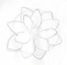 simple lotus flower drawings with detailed step by step guide