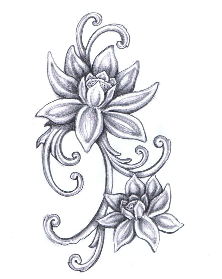 flower sketch dr odd