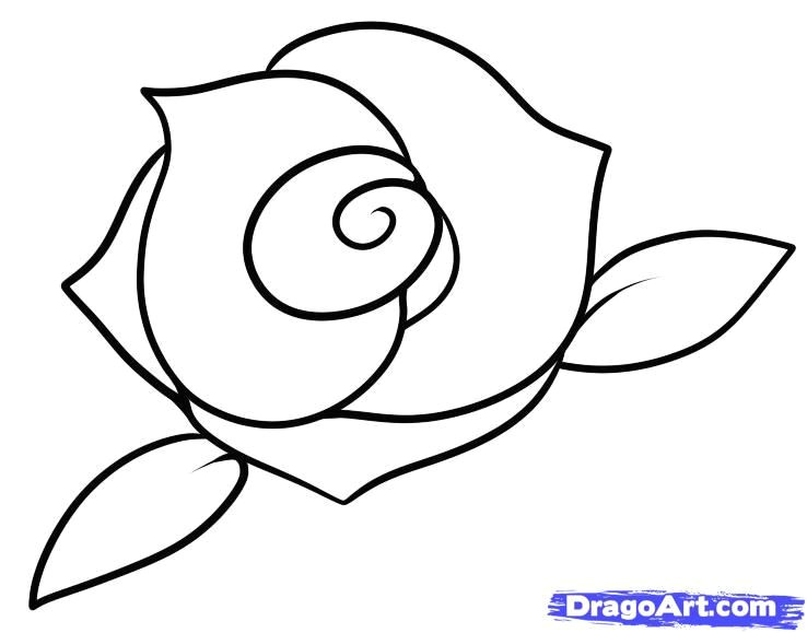 how to draw a rose step by step easy google search