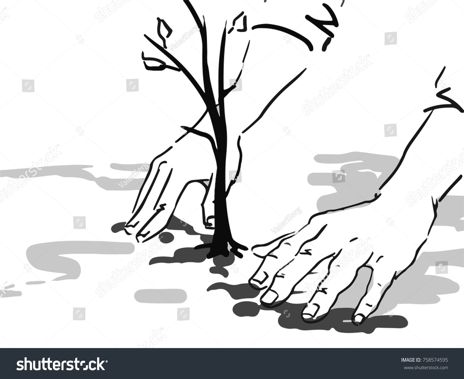 hands put a sprout in the ground planting tree black and white vector sketch