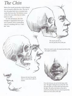 the chin drawing tutorial