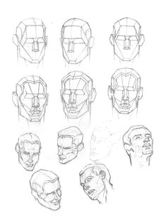 human skull anatomy artist human head anatomy drawing at getdrawings