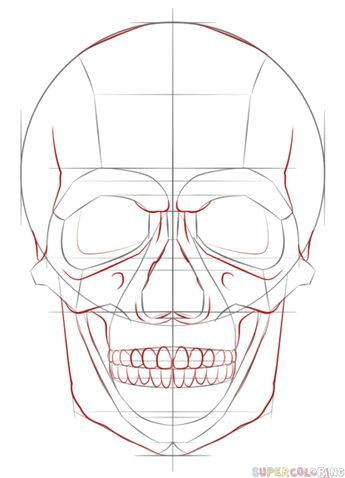 how to draw a human skull step by step drawing tutorials for kids and beginners
