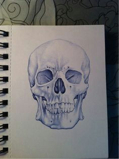 ballpoint skull 2012 skull ballpoint drawing sketchbook bone drawing skull sketch