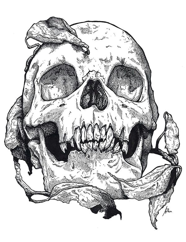 skull on behance