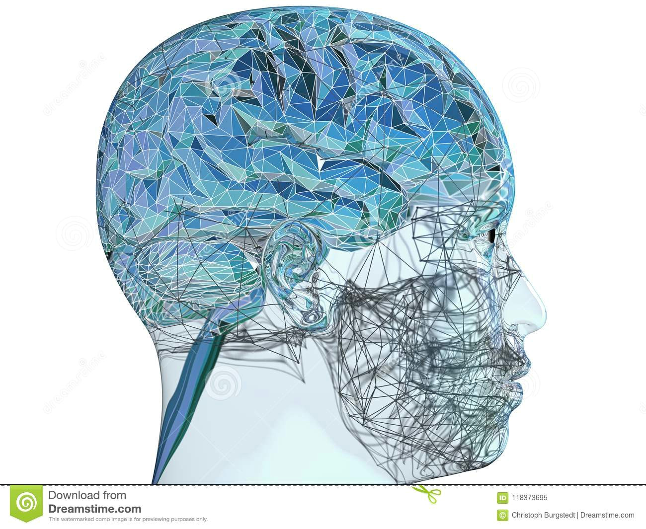 3d illustration of a transparent human refractive skull with colorful polygon styled brain