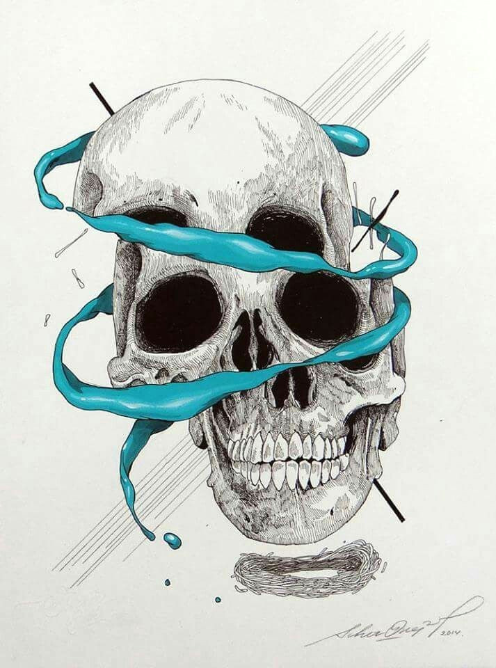 craneo 11 skull anatomy skull illustration horror artwork skull island skull design