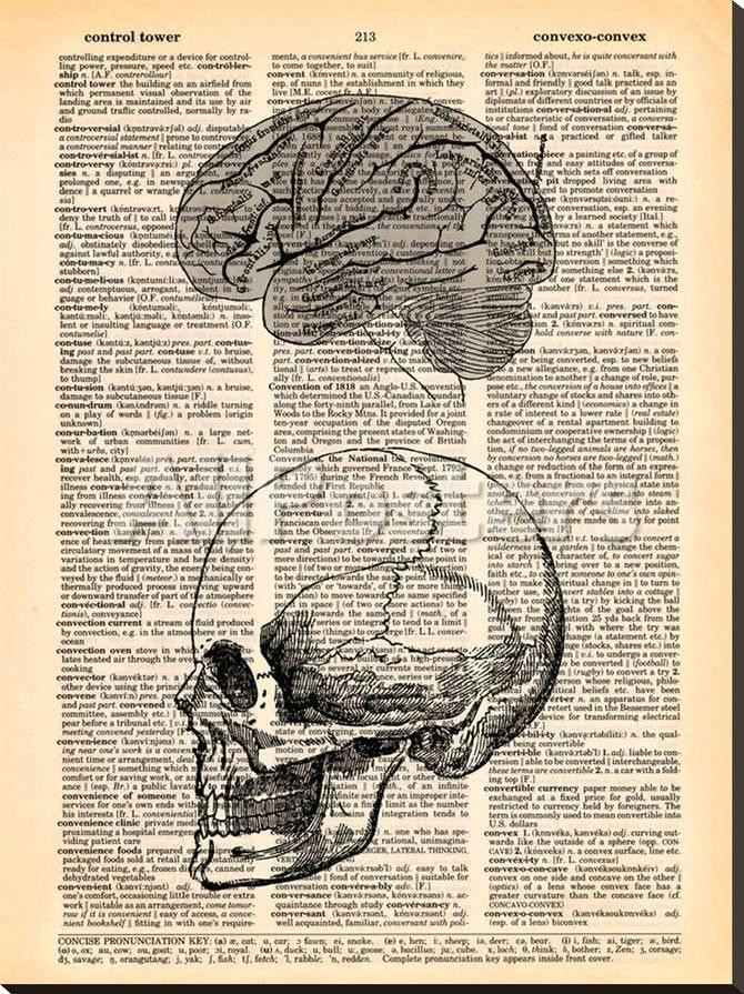 book dictionary art skull brain a g 15084525 0 jpg