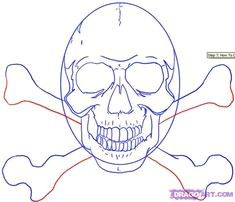 how to draw lots of skulls on drago art study photos skull illustration