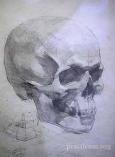 classical figure drawing and the contemporary realism of hedwardbrooks skull studies russian academy anatomy