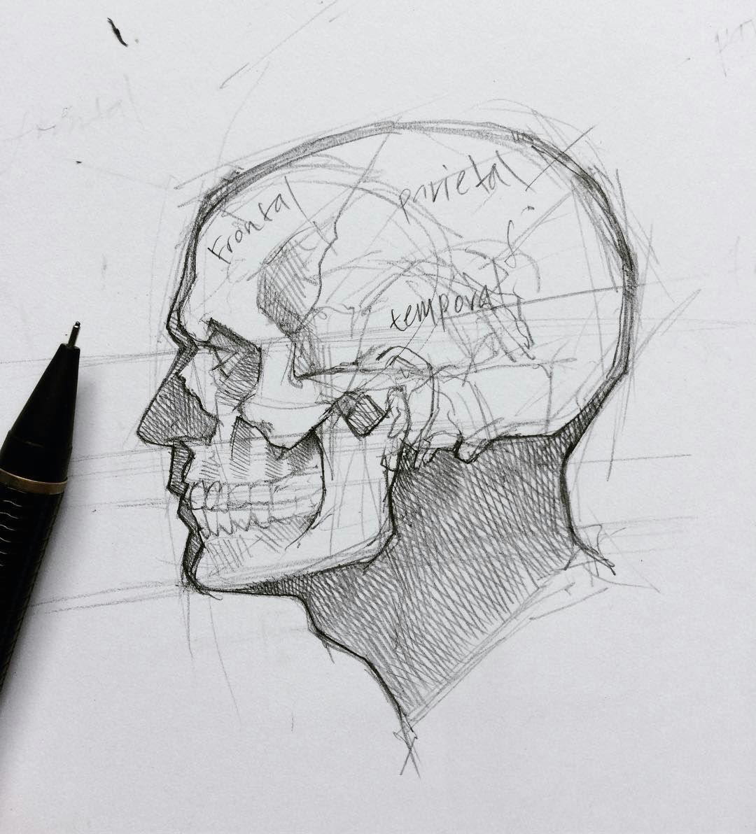 4 641 me gusta 12 comentarios efrain malo maloart en instagram graphite mechanicalpencil sketching skull