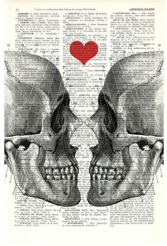 skull book print death means nothing to us love dictionary book page print anatomy art on upcycled book page