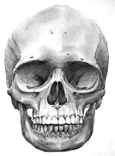 skull front