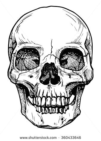 vector black and white illustration of human skull with a lower jaw in ink hand drawn style stock vector
